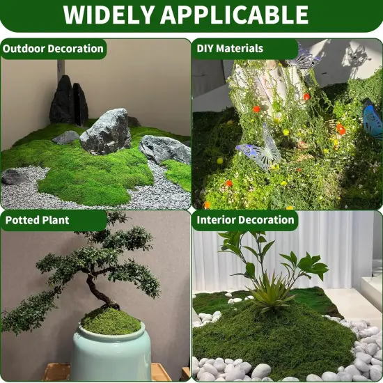 Preserved Moss Bulk Green Natural Preserved Pole Moss Pillow for Potted Plants 2.5 sq.ft Green Moss Balls for Bowls Wall Art Terrariums Crafts Fairy Gardens {5}