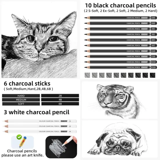 27 Piece Charcoal Drawing Set - Professional Black & White Charcoal Pencils for Sketching, Shading & Blending, Graphite Sticks with Artist Art Supplies Kit (Beginners & Professionals) {3}