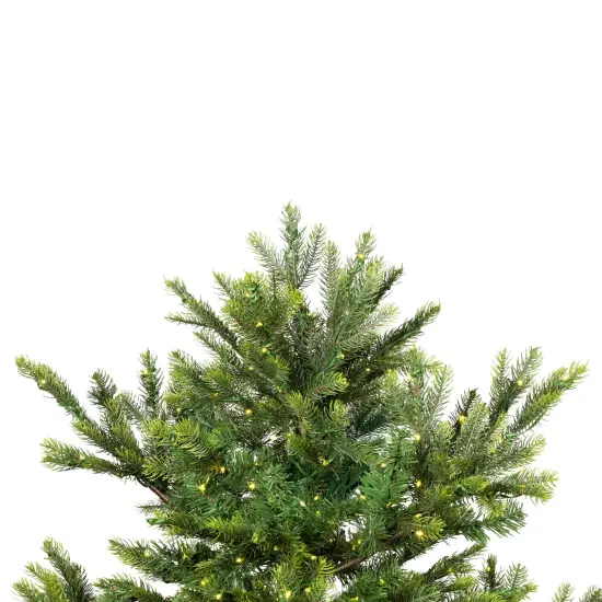 Northlight Real Touch&trade;️ Pre-Lit Full Oregon Noble Fir Artificial Christmas Tree - 7.5' - Warm White LED Lights Green {7}