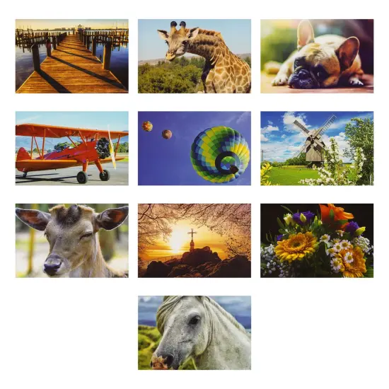 40 Pack Bulk Animal and Travel Postcards From Around the World for Mailing, Assorted Nature Thank You Notes (4 x 6 In) Multicolor {7}