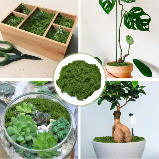 Fake Green Moss 7 oz Decorative Artificial Moss for Crafts Artificial Dark Faux Moss for DIY Table Centerpieces Wedding Party Decor Fairy Garden Floral {2}