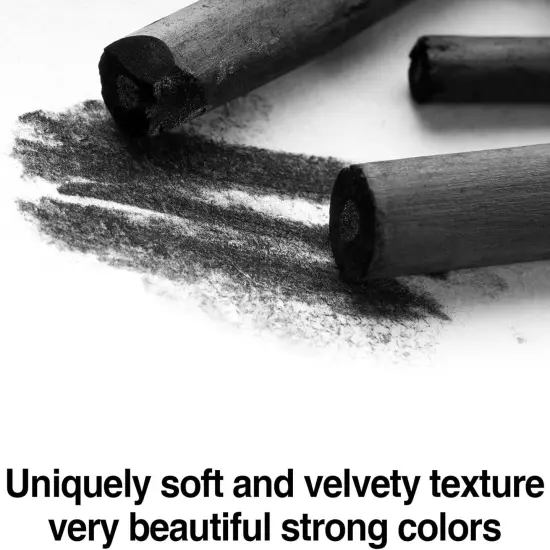 25 Pcs Charcoal Pencils,Vine Charcoal,Black Artist Vine Charcoal Willow Charcoal Sticks The Art of Drawing and Painting for Artists, Beginners, and Students(4-5mm) {5}