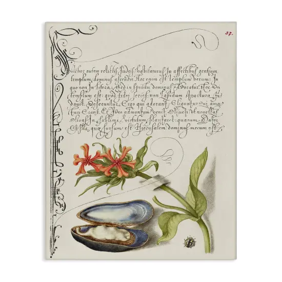 Stupell Industries Oyster & Plant Study Canvas Wall Art Design by Melissa Wang {1}