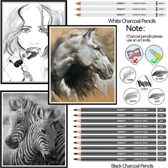 Charcoal Pencils Drawing Set, 24 Piece Black & White Charcoal Pencils for Drawing, Sketching, Shading, Blending, Artist Pencils for Kid, Beginners & Pro Artists {3}