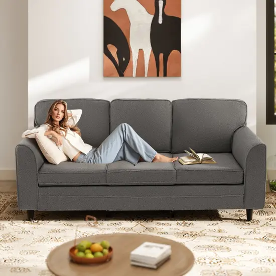 Modern 3-Seater Sofa Couch with Soft Teddy Velvet Ergonomic Cushions Wood Legs for Living Room Gray {2}