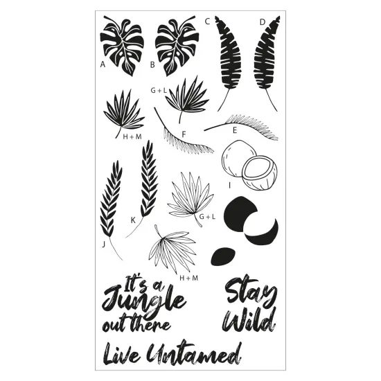 Sizzix Clear Stamps Set By Catherine Pooler 18/Pkg-Stay Wild {7}