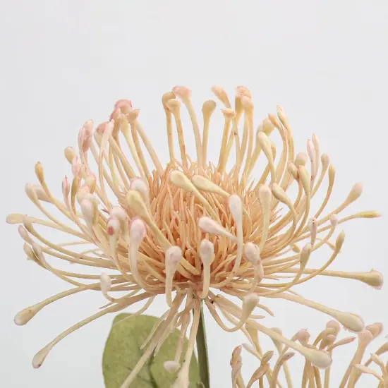 Summer Tabletop Floral Arrangements 33" Pink Artificial Mums Flowers {3}