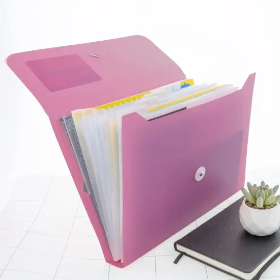 BAZIC Expanding File A4/Letter Size Poly 13-Pocket Morandi Edition {5}