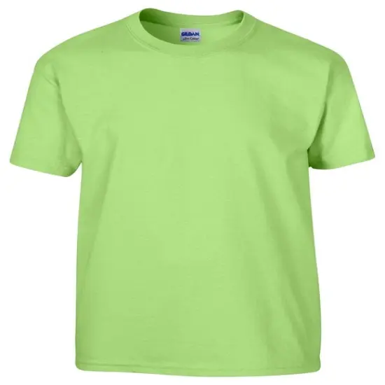 Gildan&reg; Youth Ultra Cotton Crew neck Short Sleeve T-Shirt MINT GREEN {1}