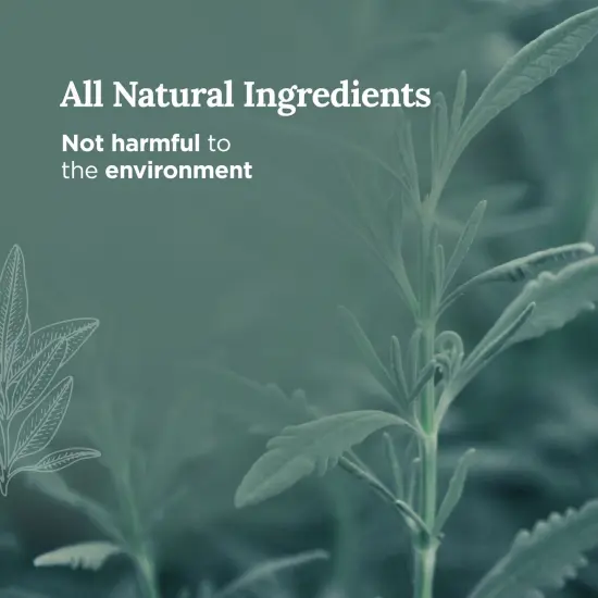 Magnificent 101 Long Lasting Remover Sage Smudge Candle | 6 oz - 35 Hour Burn | Pure Sage Scented Soy Wax Candle for House Energy Cleansing & Manifestation | Erase Negativity with Positivity Multicolor {3}