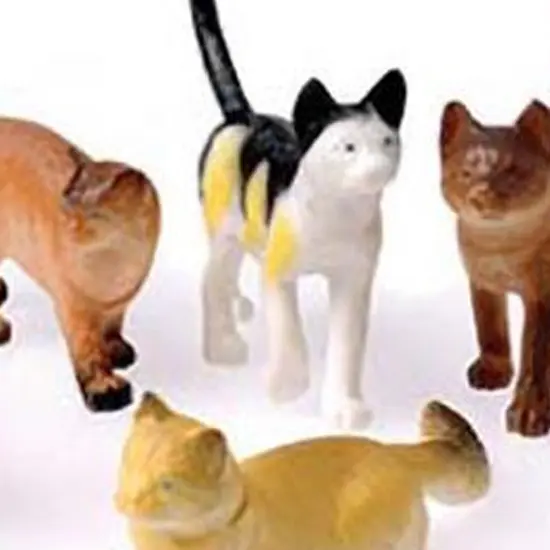 Cats 4 Inch Include 12 Units {2}