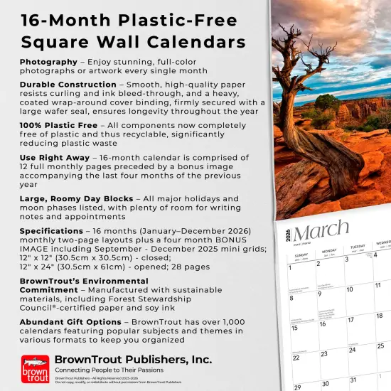 Colorado National Parks & Monuments | 2026 12 x 24 Inch (Hanging) Monthly Square Wall Calendar | Plastic-Free {6}