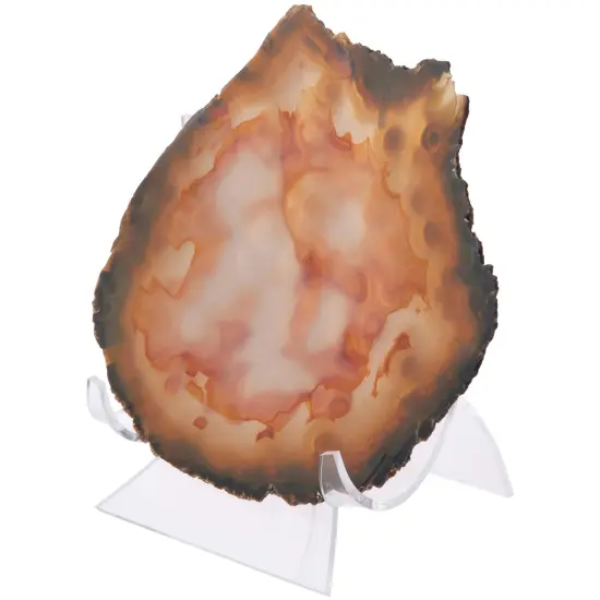 Plymor Clear Acrylic Double-Scoop Display Easel, 4.875" H x 4.75" W x 4" D {3}