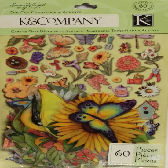 K & Company Susan Winget Spring Blossom Icon Die-Cut Cardstock & Acetate {1}