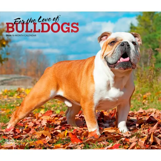 For the Love of Bulldogs | 2026 14 x 24 Inch (Hanging) Monthly Deluxe Wall Calendar | Foil Stamped Cover | Plastic-Free {1}