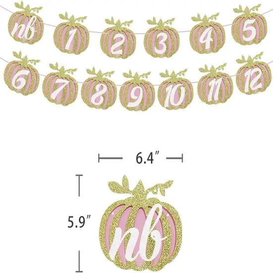 Pumpkin 1st Birthday Photo Banner, Glitter Pumpkin -12 Month Photo Display for Pumpkin {4}