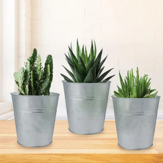 25 Pack Round Metal Bucket {3}