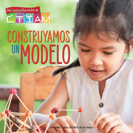 Construyamos un modelo Paperback {1}