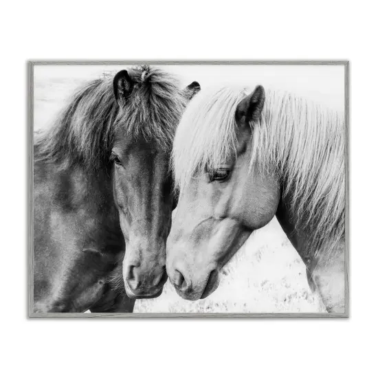 Stupell Industries Horse Love Duo Portrait Framed Giclee Art Gray Frame {1}