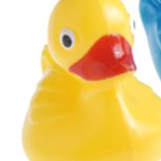 Duck Pond Floaters Asst Include 12 Units {3}