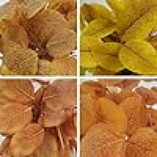 Artificial Potted Fall Eucalyptus Plants Small Fall Greenery Plants {3}