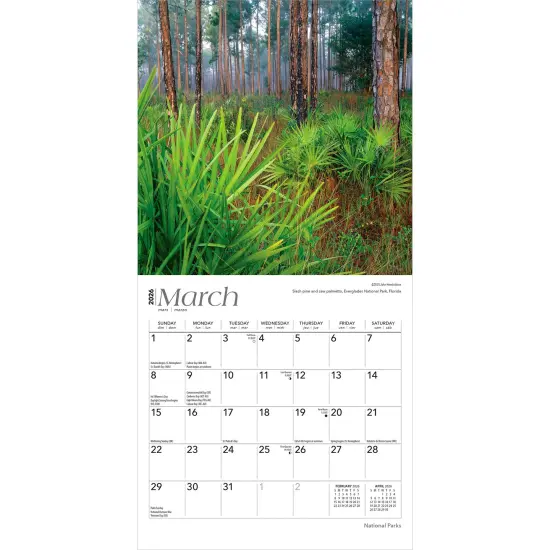 National Parks | 2026 7 x 14 Inch (Hanging) Monthly Mini Wall Calendar {3}