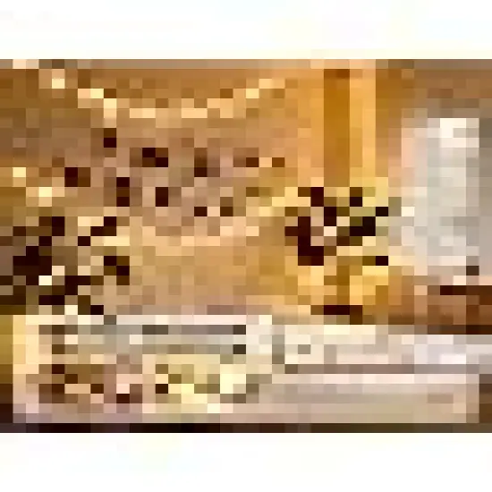 Color Changing Fairy Lights with Remote {3}