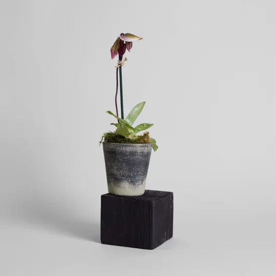 Basic Planter, Grey Patina | No Tray | Size: Small by Bloomist {3}
