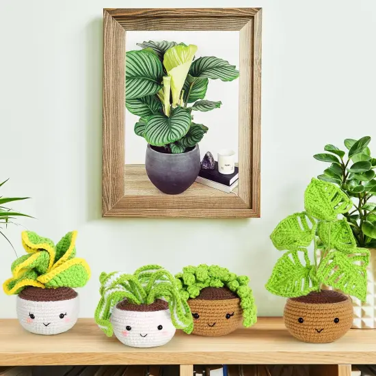 Crochet Plants Indoor Home Kit {2}