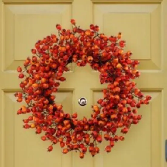 6-Pack 22" Orange Hawthorn Berry Wreath - Lifelike Berries, Indoor/Outdoor Use, Front Door Decor - Autumn & Fall Holiday D&eacute;cor - 2024 Christmas Collection, Floral Home by Artificial Flowers {2}