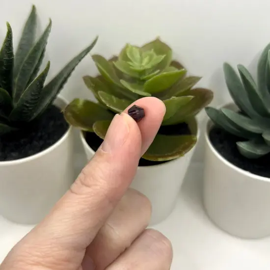 1 or 4 Strands 6x6mm Purple Bicone Beads, Imitation Crystal, Grade AA {2}