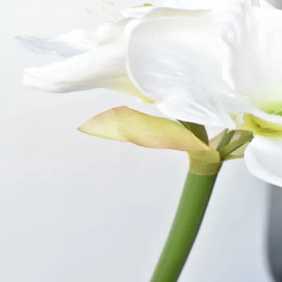 29" Faux White Amaryllis Stem {3}
