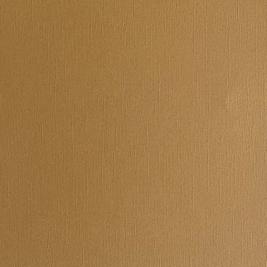 HAZELNUT - Textured 12x12 Cardstock - Encore Paper {1}