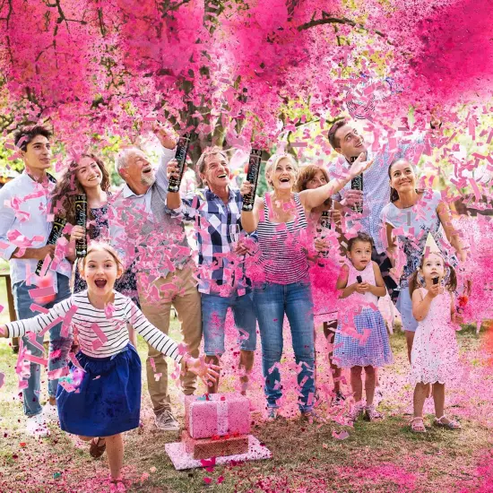 Gender Reveal Confetti Powder Cannon Biodegradable Baby Boy Blue Baby Girl Pink Gender Reveal Poppers - He or She What Will it Bee Baby Shower Baby Party Decorations Supplies Confetti Sticks (4 Pink) {2}