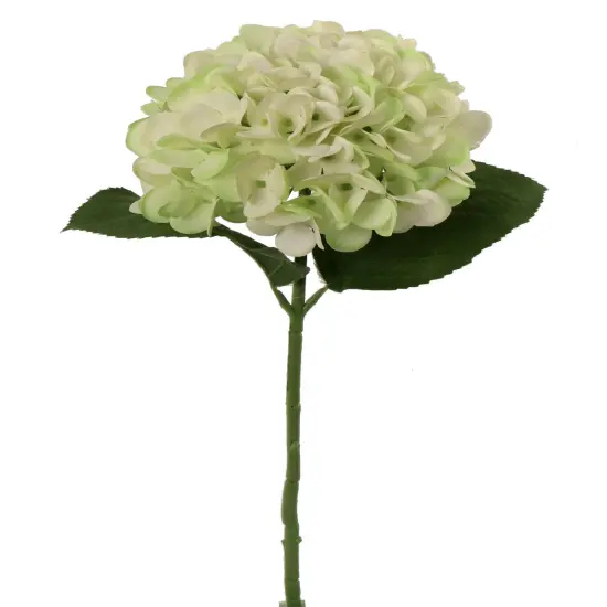 4PC Delicate 18-Inch Light Green Hydrangea Stem Set- Stunning 7-Inch Diameter - Perfect for Home Decor, Wedding Arrangements, and Special Occasion Floral Displays, Floral Home by Artificial Flowers {1}