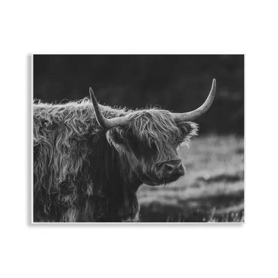 Stupell Industries Bold Scottish Highland Wall Plaque, design by Crystal Lynn Collins {1}