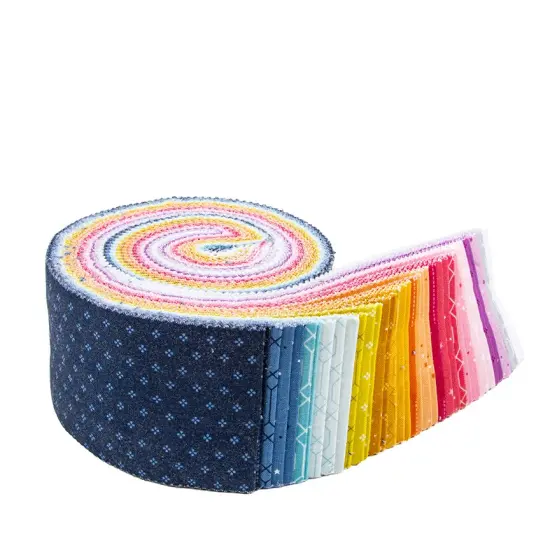Essence 2.5" Strip Roll (Jelly Roll / Rolie Polie) by Fran Gulick for Riley Blake (RP-16460-40) {3}