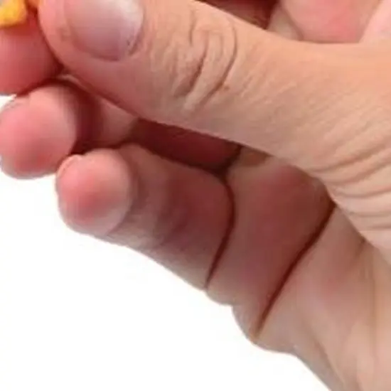 Wild Animals Include 144 Units {3}