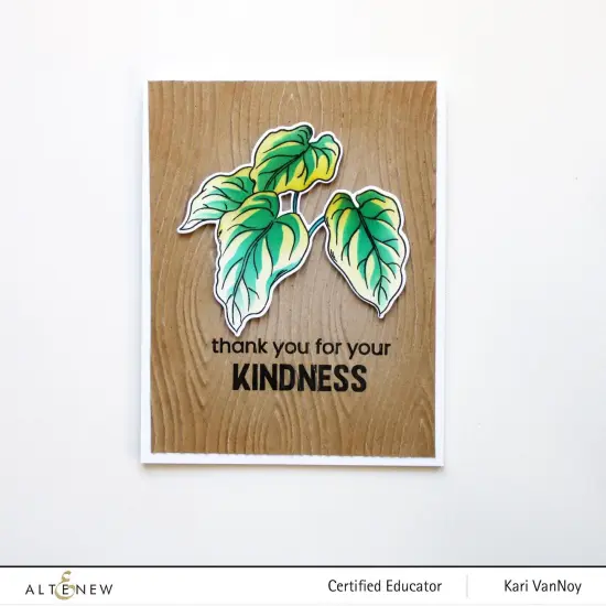 Botanical Illustrations {7}