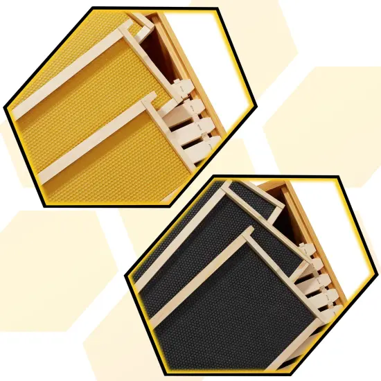 Honey Keeper Beehive 10 Frame Complete Box Kit Coated in 100% Beeswax (Waxed Boxes, 2 Deep and 1 Medium) with Wooden Frames and Waxed Foundations for Langstroth Beekeeping {4}