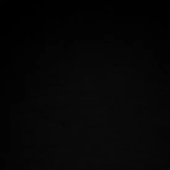 Richloom Solarium VERANDA - Outdoor/Indoor Fabric Black {1}