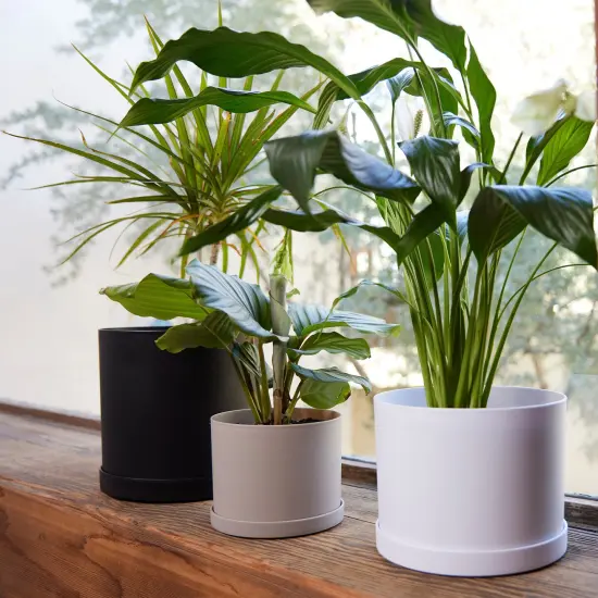 Bloem Mathers Round Planter With Saucer Tray: 8" - White - Modern Design, Durable Plastic Pot, Removable Saucer, For Indoor & Outdoor Use, Gardening, 1.4 Gallon Capacity {5}