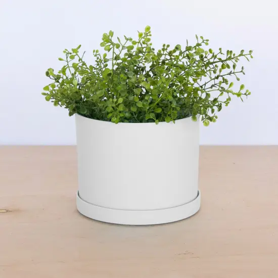 Bloem Mathers Round Planter With Saucer Tray: 6" - White - Modern Design, Durable Plastic Pot, Removable Saucer, For Indoor & Outdoor Use, Gardening, .67 Gallon Capacity {5}