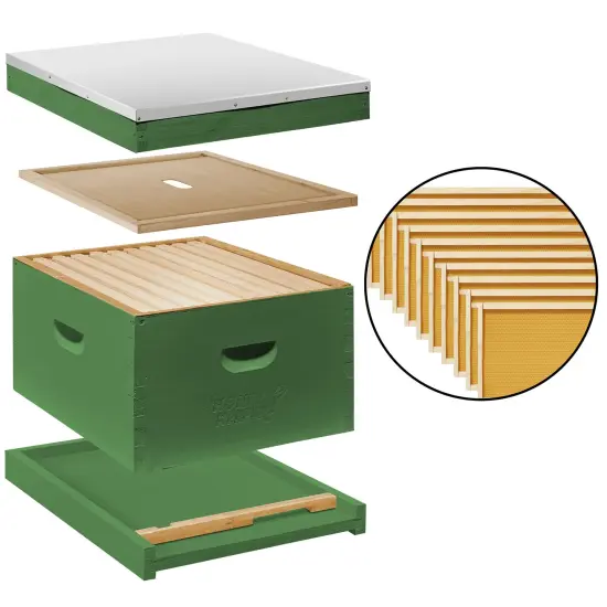 Honey Keeper Beginner Bee Hive Kit, Fully Assembled and Painted Starter Set with Hive Body & 10 Frames Green {5}