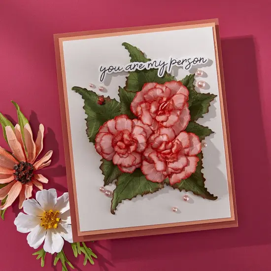 Spellbinders Etched Dies By Susan Tierney-Cockburn-Begonia And Ladybugs {4}