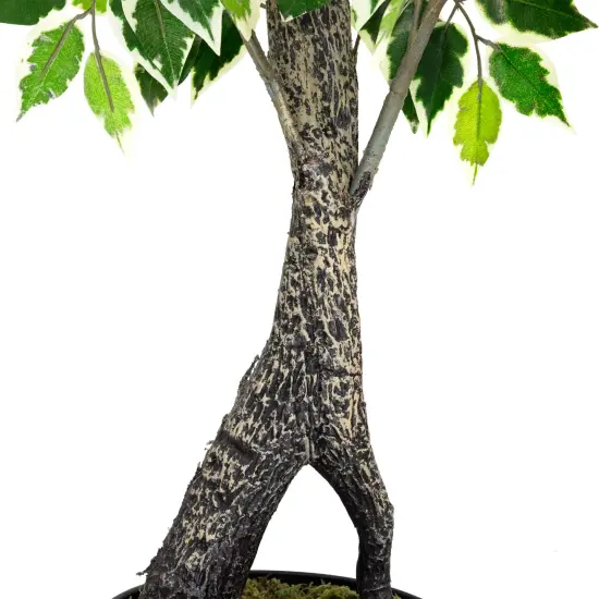 Northlight Artificial Variegated Ficus Leaf Potted Plant - 47" Green {7}