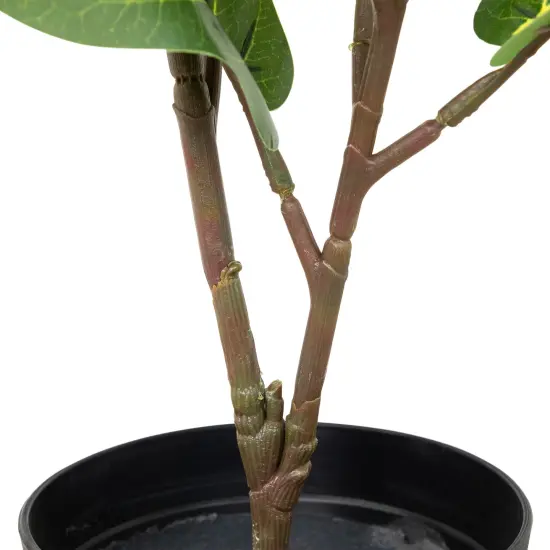 Northlight Two-Tone Fiddle Leaf Fig Artificial Potted Plant - 26" - Green {7}
