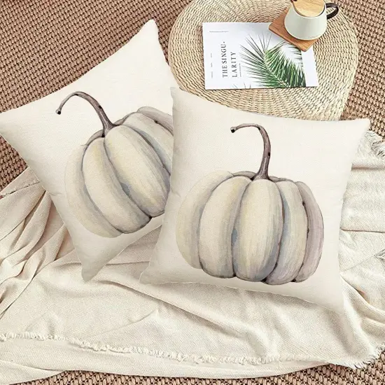 Set Of 2 Fall Decorations White Pumpkin Throw Pillow Covers 20x20 {5}