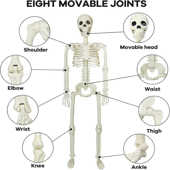 Posable Skeleton Halloween Outdoor Decorations {2}