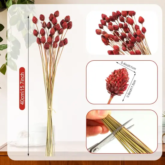60 Pcs 16" Red Dried Flowers {3}